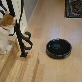 おそうじロボットの画像