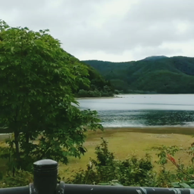 桧原湖紅葉状況の画像