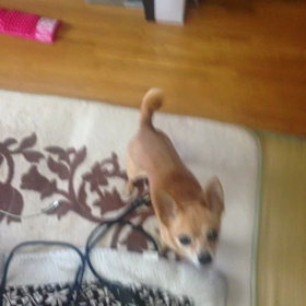 初‼︎ 動画の画像