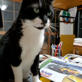 こはにゃんの画像