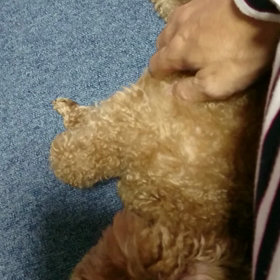 まったりの画像