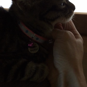 楓ちゃんも穏やかにの画像