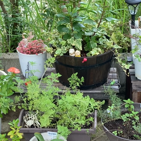 わたしの仲間たちの画像