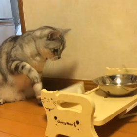 お婆ちゃん家の朝は早い。の画像