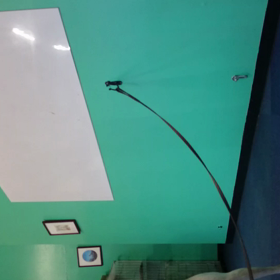 ポチの爪削りレッスンの画像