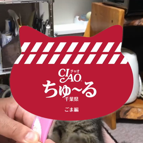 ちゅーるメーカー【ごま】ちゃん編の画像