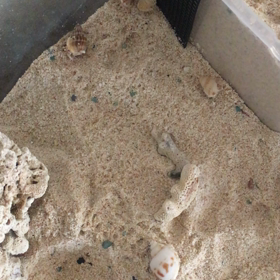 一家で移動中の画像