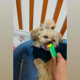 ごほうび♥の画像