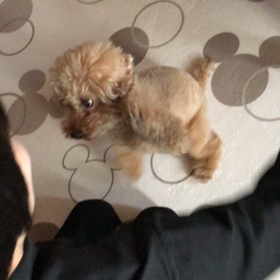 どっちに入ってるか⁈の画像