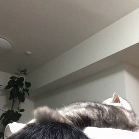 上とか下とか関係無いぜ！とか言ってみる。の画像