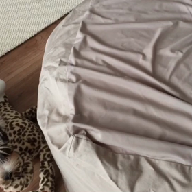 戻ってきてよかったね‼️の画像