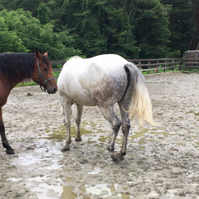 馬場は、グチャグチャですがの画像