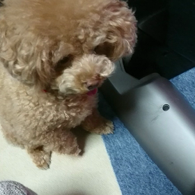 ひさびさぁな…モカの画像