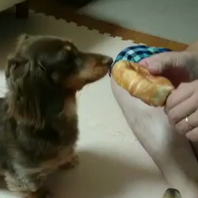 みるくとれもん懐かしい動画その2♡の画像