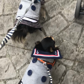 寒くてもお散歩の画像