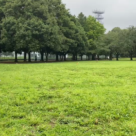 1000m１組目③の画像