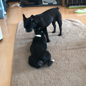 トシのせい？の画像