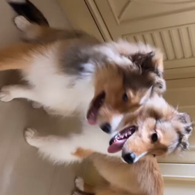 20210801 Win IGSの画像