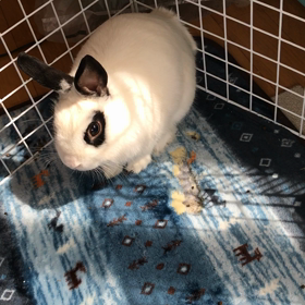 特になにする訳もなくの画像