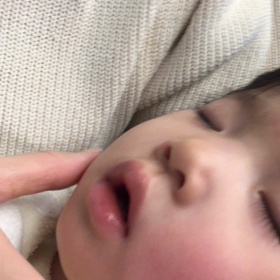 おもちちゃんの画像