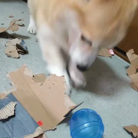 掘るよね～の  画像