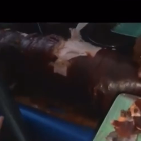 フィリピン、その2の画像