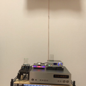 シューマンインプレッションの画像