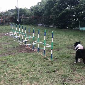 もう一度立ち上がれるかな？の画像