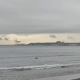 9月2日NAMI ARU ⁉︎ 情報の画像