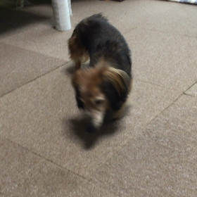 レナと車椅子の画像