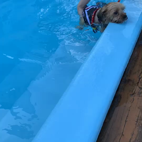 夏の終わりの画像