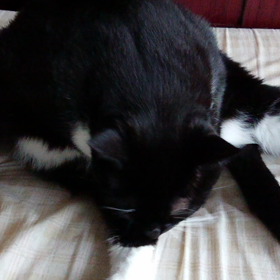 飽くなき探究心の画像