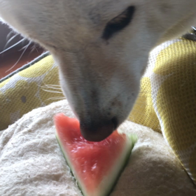 浴衣のお客様の画像