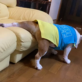 雨なのでうちでまったりの画像