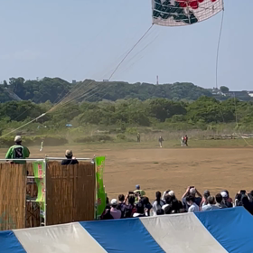 大凧が舞い上がる╰(*´︶`*)╯の画像