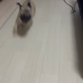 夕飯作るぞの画像