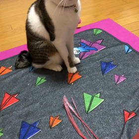 チップ君の49日法要の予定。デールのお出迎え。の画像