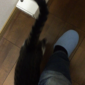 ただいま〜の画像