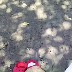 a6あいちゃん、きゃりーちゃん、みなさんの画像