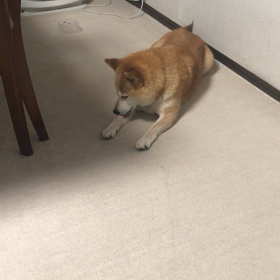 2ヶ月の月命日の画像