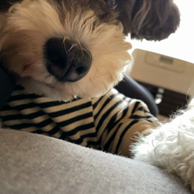 朝のひととき、リターンズの画像