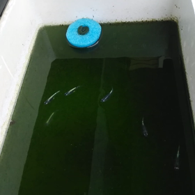 梅雨入りの画像