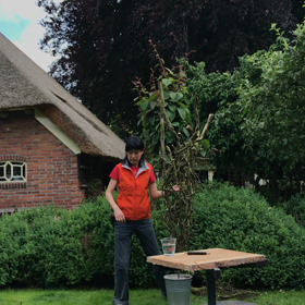 オランダ花研修、ガーデンでの画像