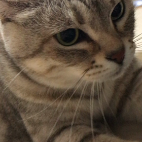 真顔でふみふみ♪の画像