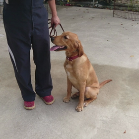 共同訓練初日の画像