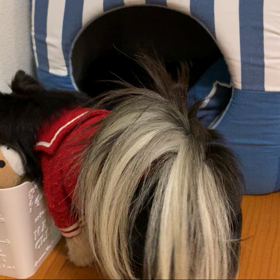 シェリ激しいねの画像