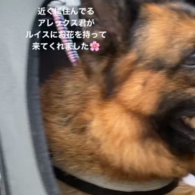 2023/09/23の画像