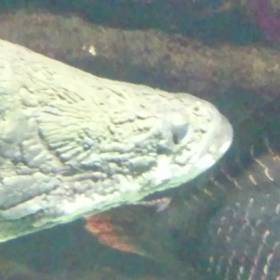 2日目の散歩3の画像