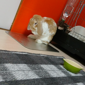 男は身だしなみしっかりしないとねの画像