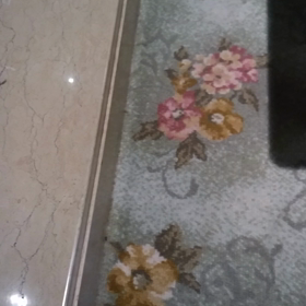 まだ、生きてるの画像